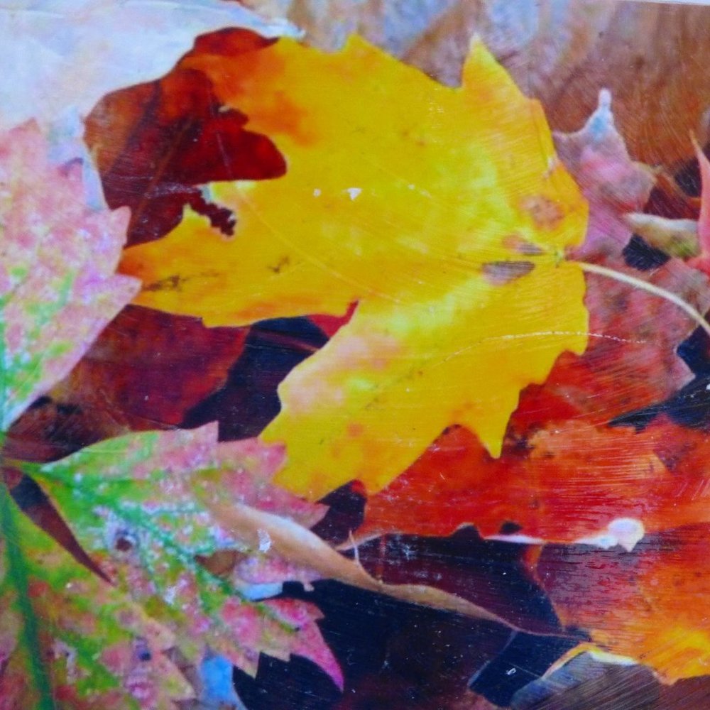 Hand-altered photo of fall